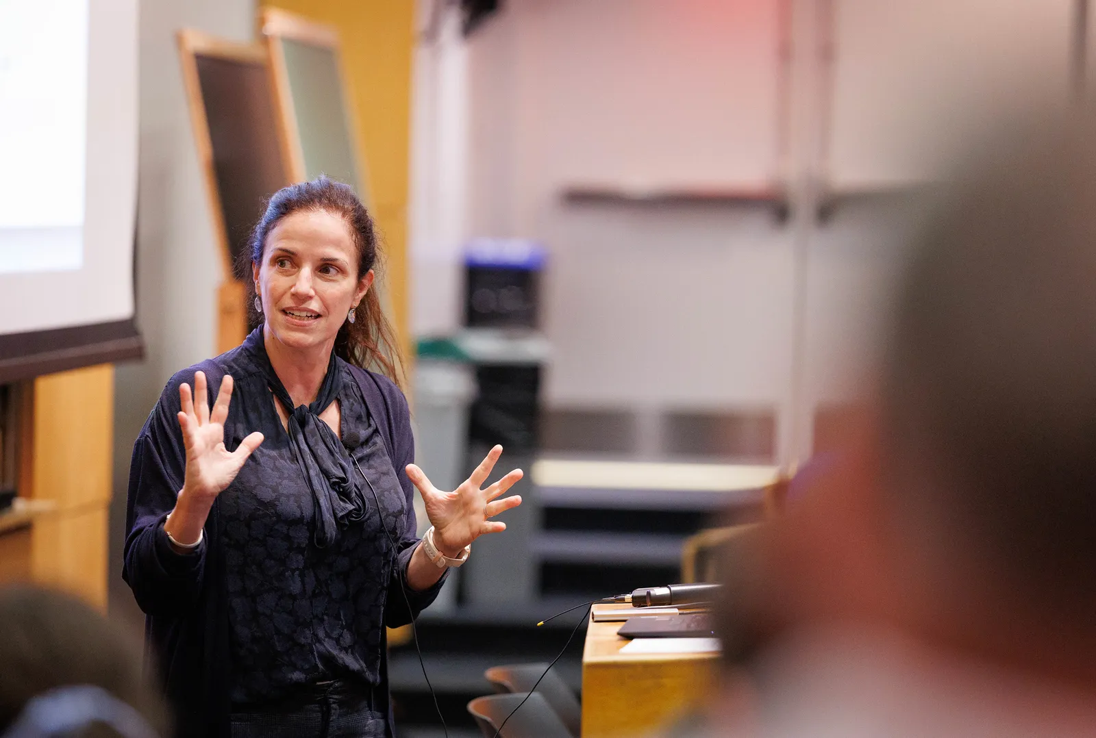 professor giving lecture