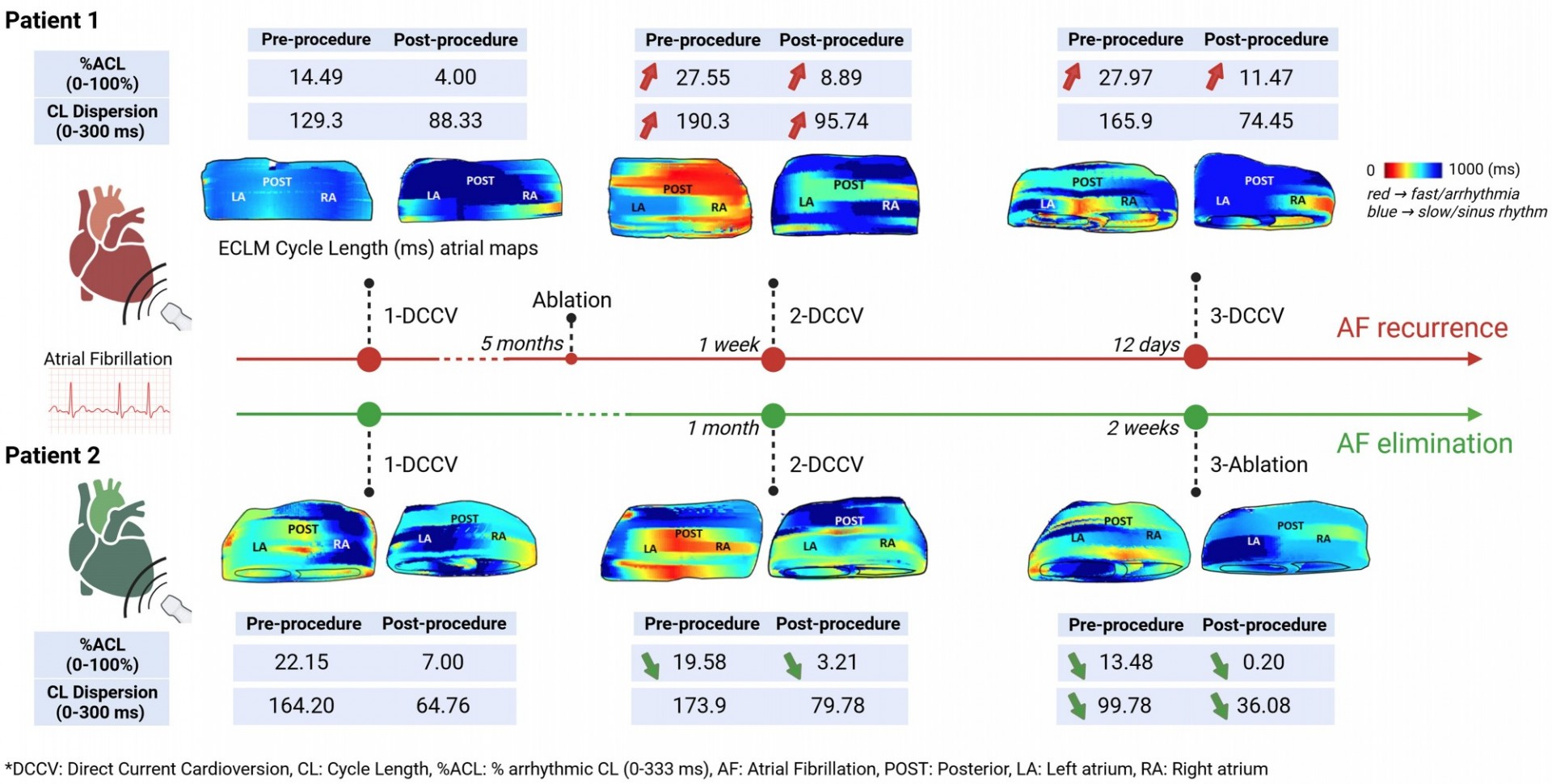 Summary Figure